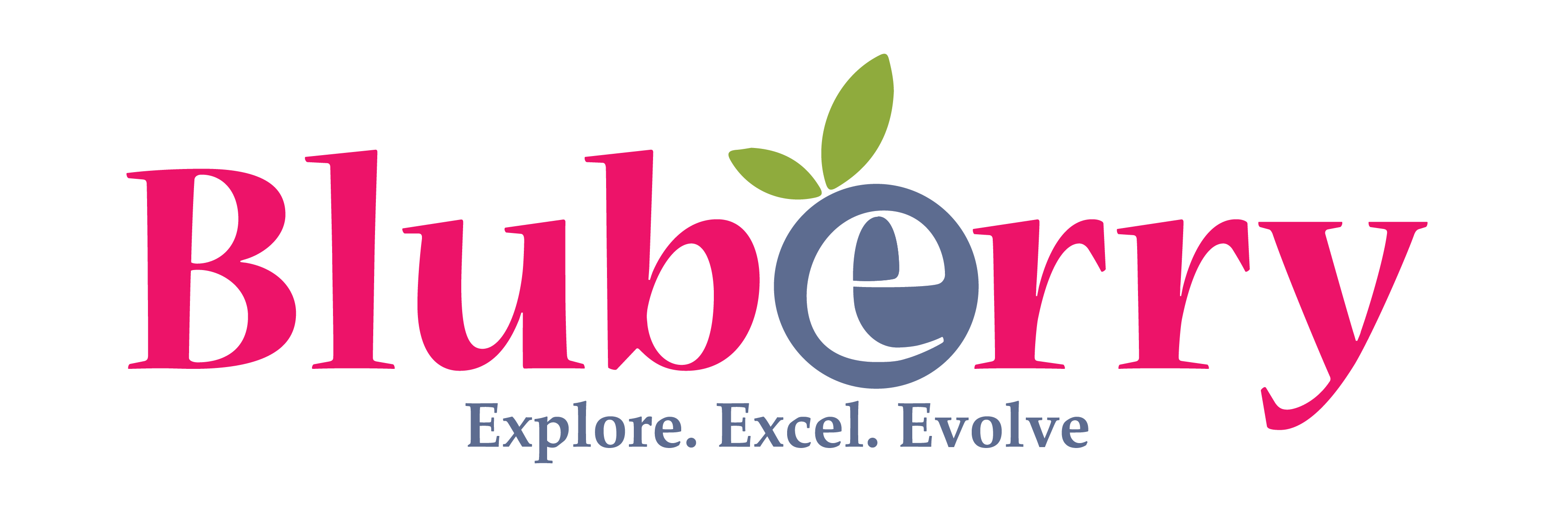 Bluberry logo-01 - Copy