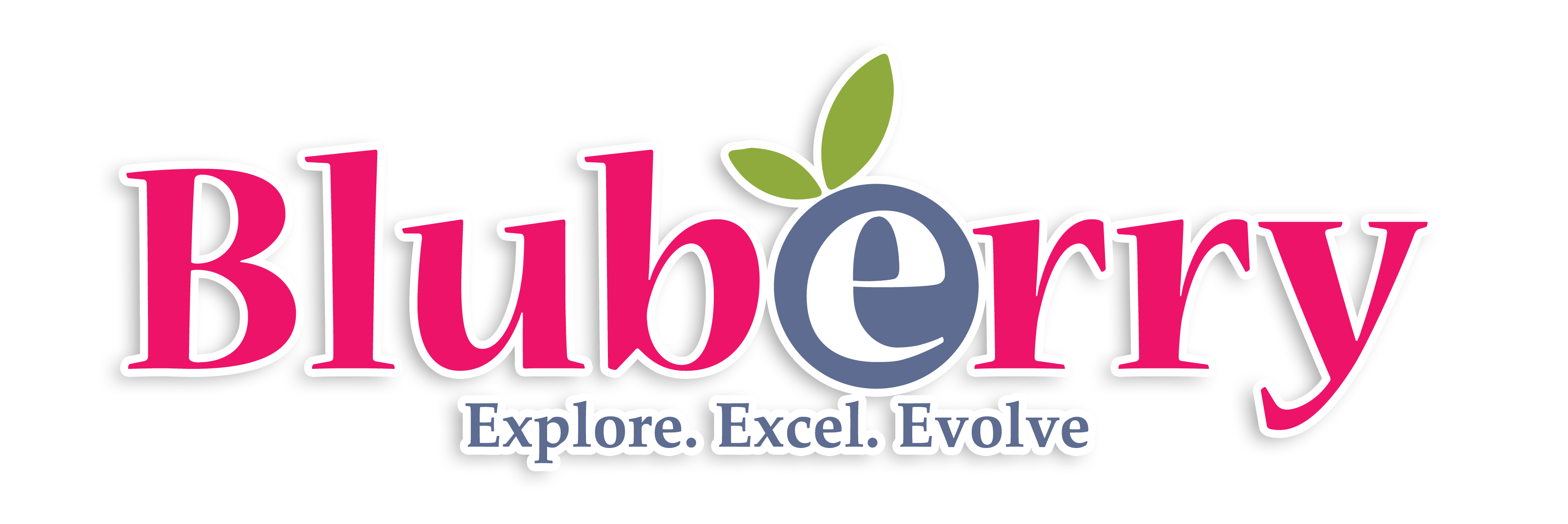 Bluberry logo
